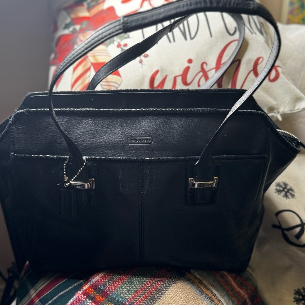 Coach Tote needs rehab